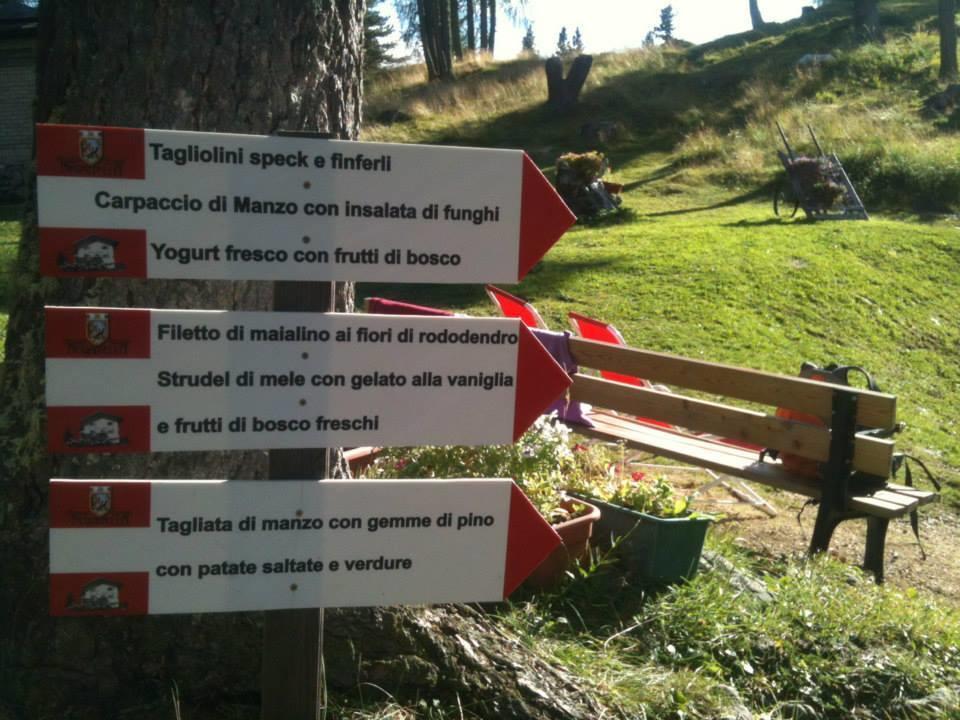 Rifugio Negritella Hotel Pozza di Fassa Exterior foto